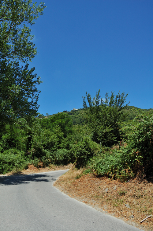 ../Images/Ischia.Serrara_Fontana.Strada Epomeo.jpg